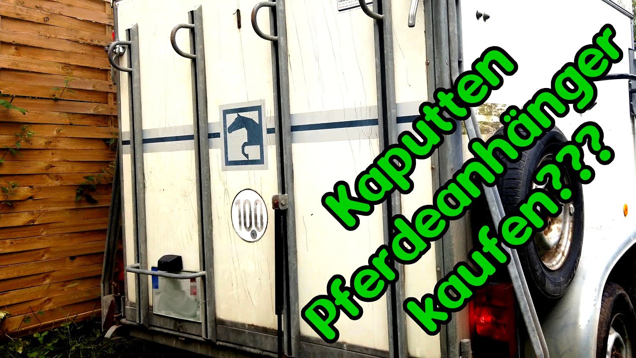 Mein Pony braucht einen neuen Pferdeanhänger. Das ist gar nicht so leicht...