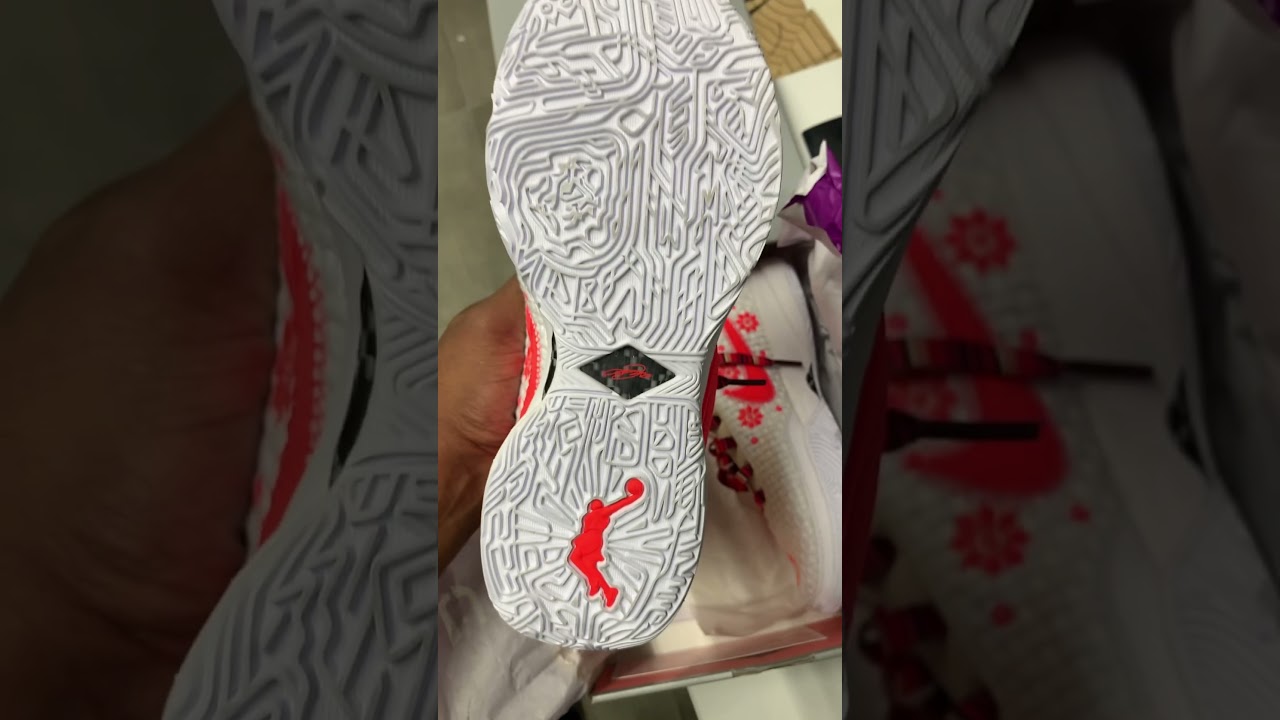LeBron XX PRM Review & Unboxing | Bright Crimson/Guava Ice