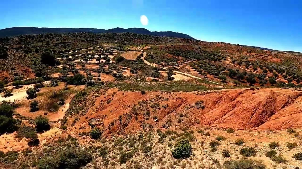 202304 Espagne oliete
