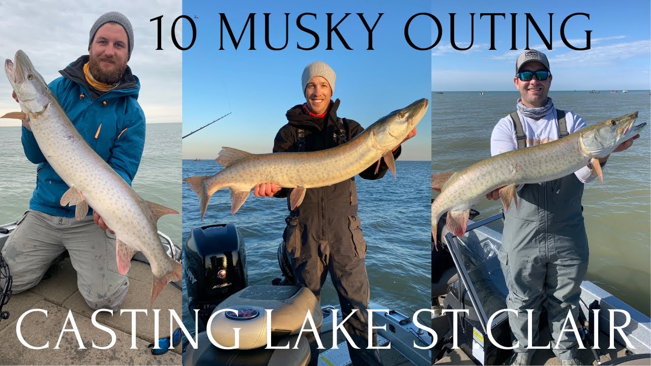 Musky Fishing Lake St Clair... 10 Musky Outing!