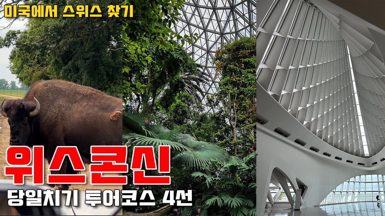 🇺🇸 위스콘신 근교 여행지 추천! | 밀워키, 스위스 마을, 제네바호, 사파리