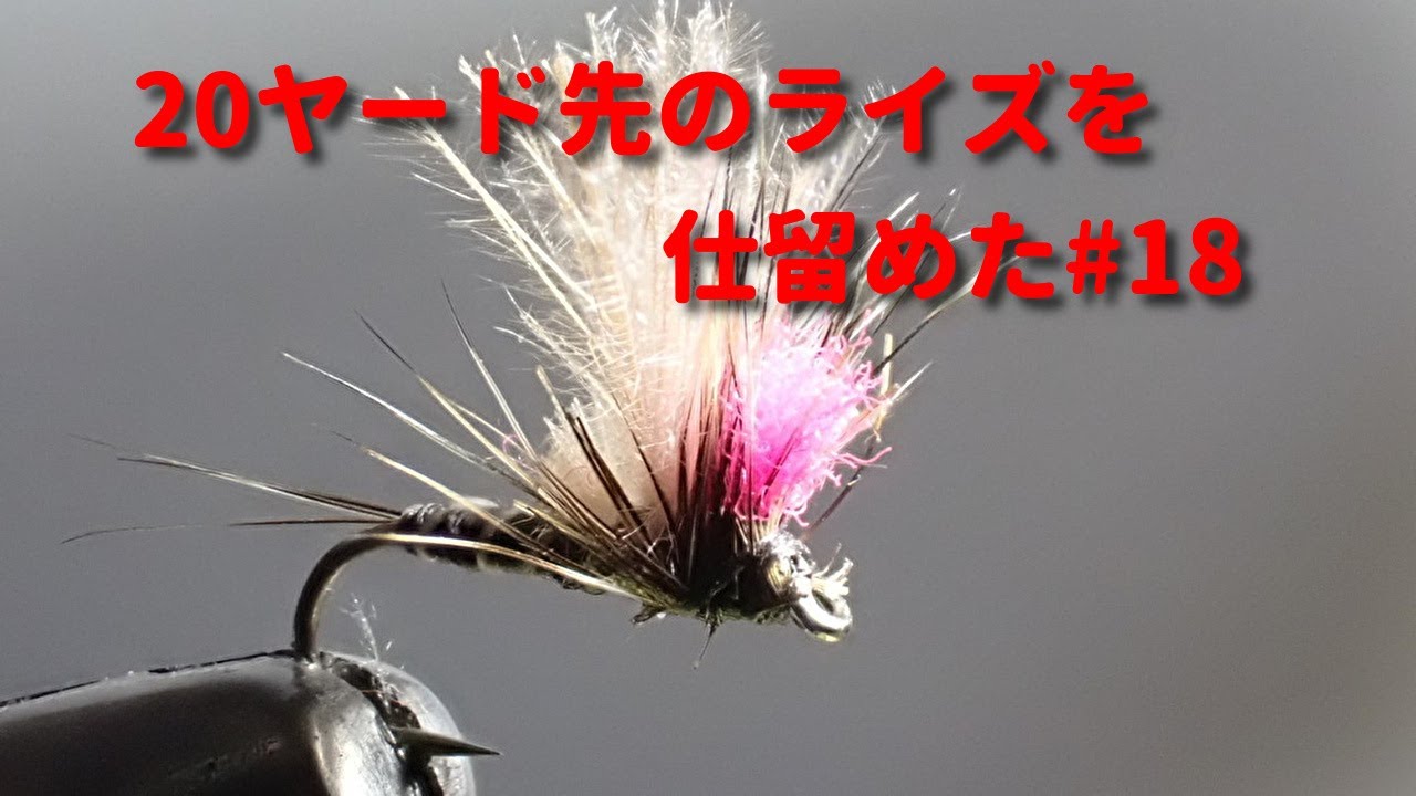 ミッジ