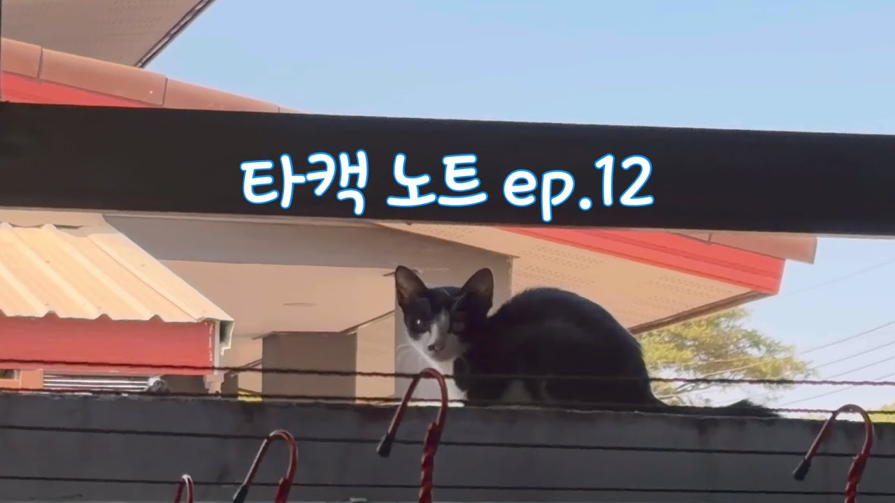 #타캑노트 ep.12 민 선생 따라 또 사원 축제 - 식당 백두산