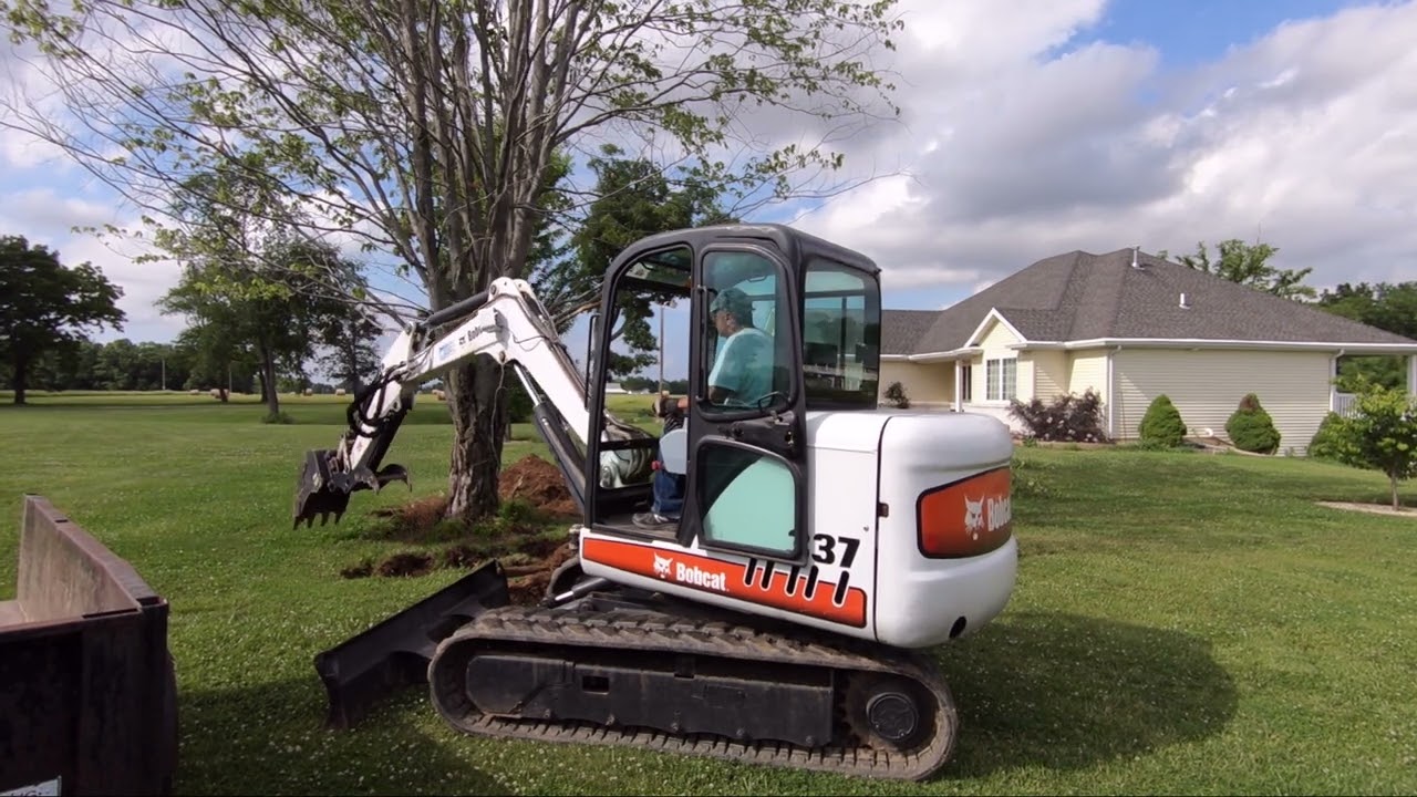 Bobcat 337G Mini Excavator Taking Down Dying Maple Tree