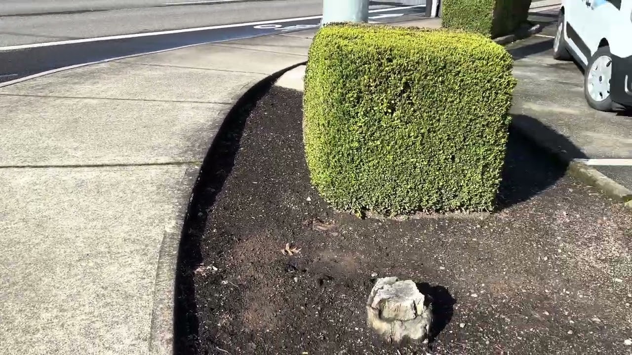 99W pacific highway season 1