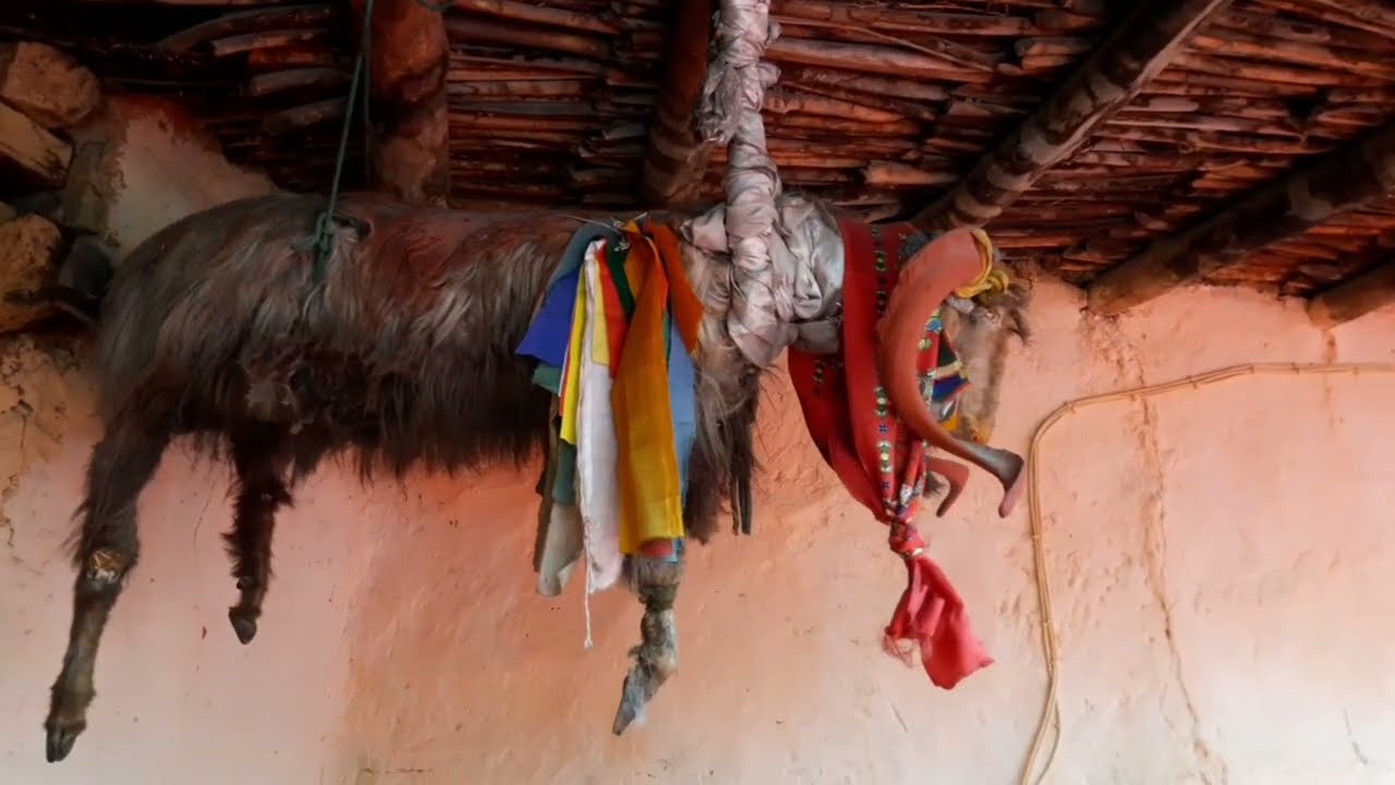 Dhankar  monastery gyi main #spitivalley