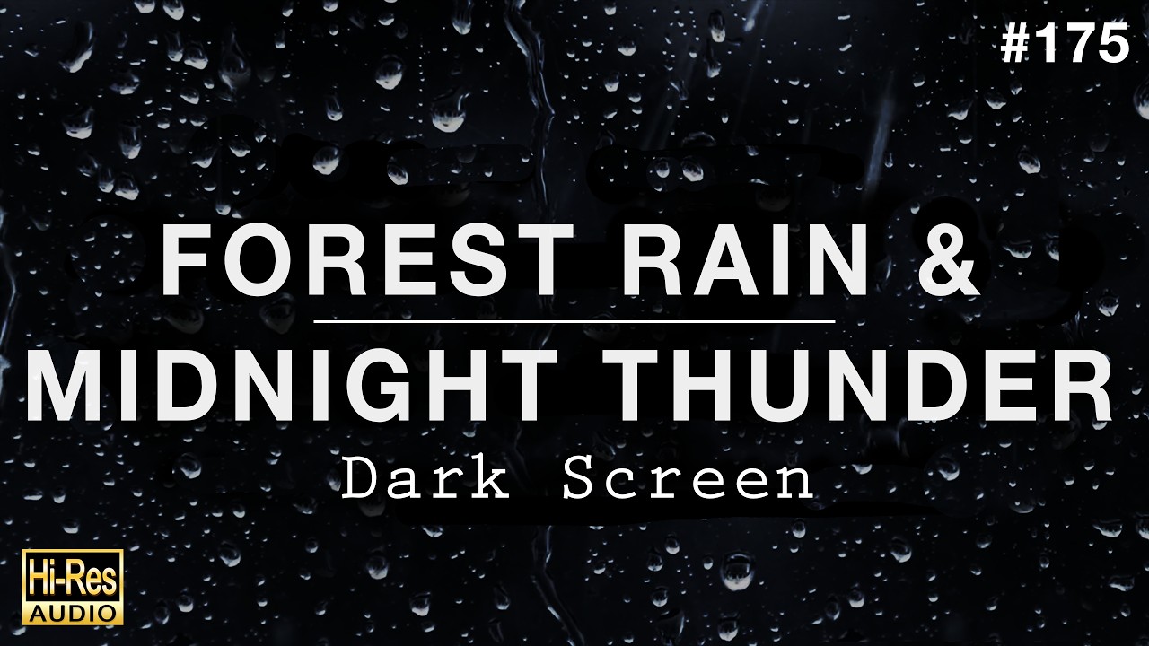 FOREST RAIN & MIDNIGHT THUNDER Sounds for Sleeping (BLACK SCREEN)