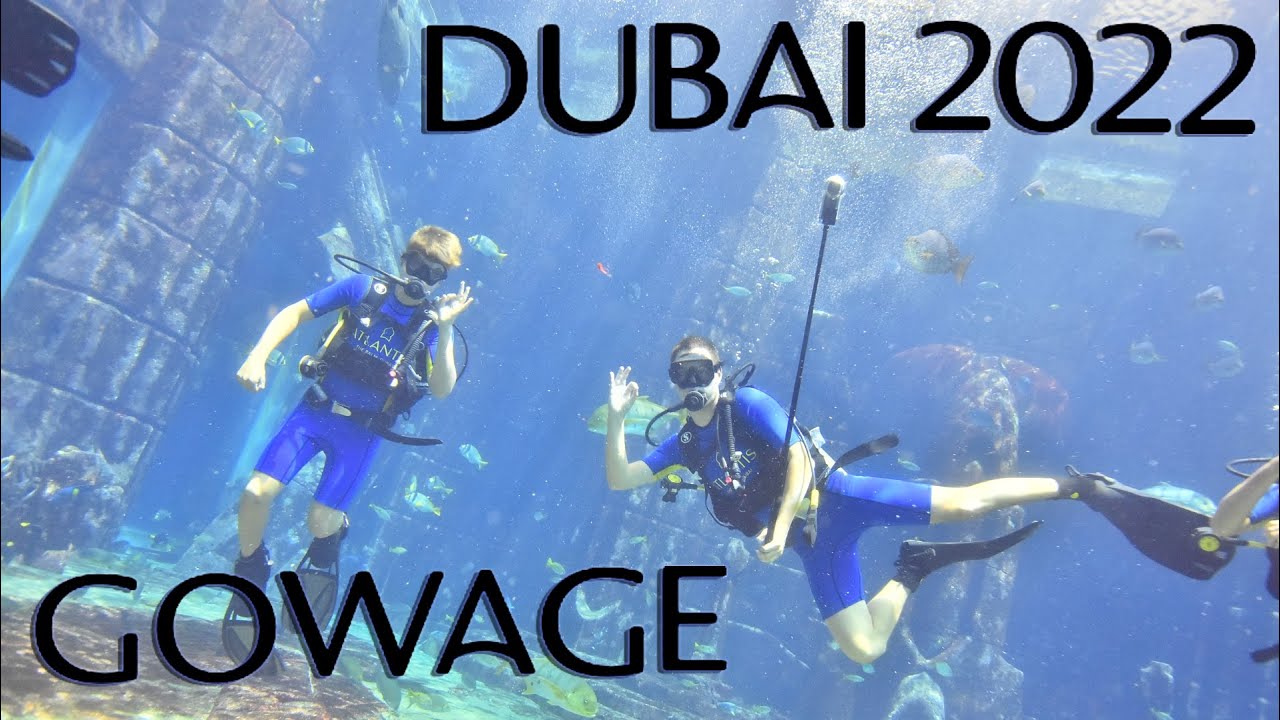 Scuba Diving In Atlantis The Palm Aquarium - 2022
