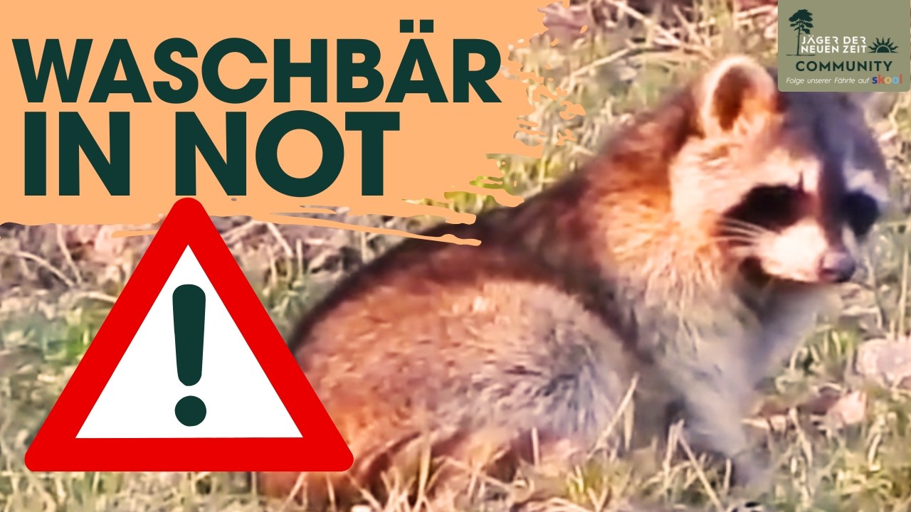 SELTSAMES VERHALTEN bei WASCHB&Auml;R beobachtet &ndash; m&ouml;gliche Ursache unklar.