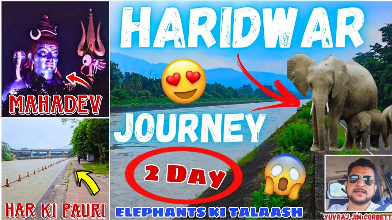 Doctor Ki Visit Ke Baad Haridwar Yatra | Noida To Haridwar   🤩 #yuvrajjimcorbett 