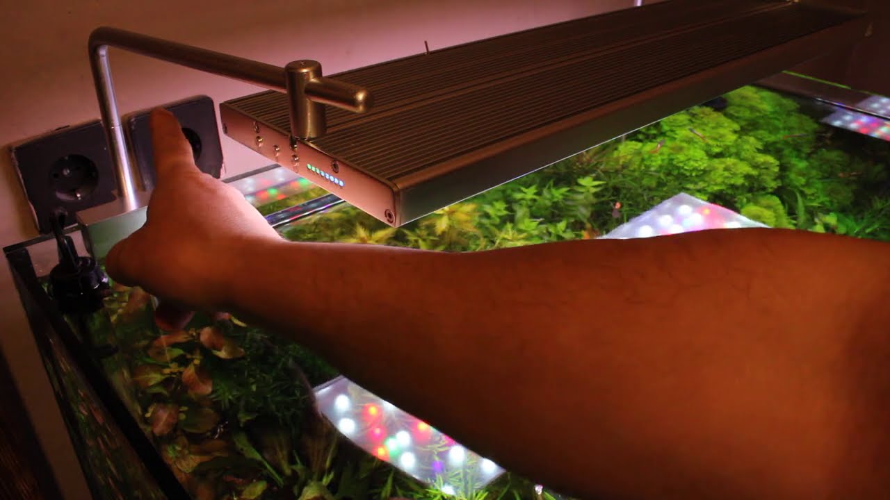 Week Aqua Phoenix led lámpa. Link a leírásban.