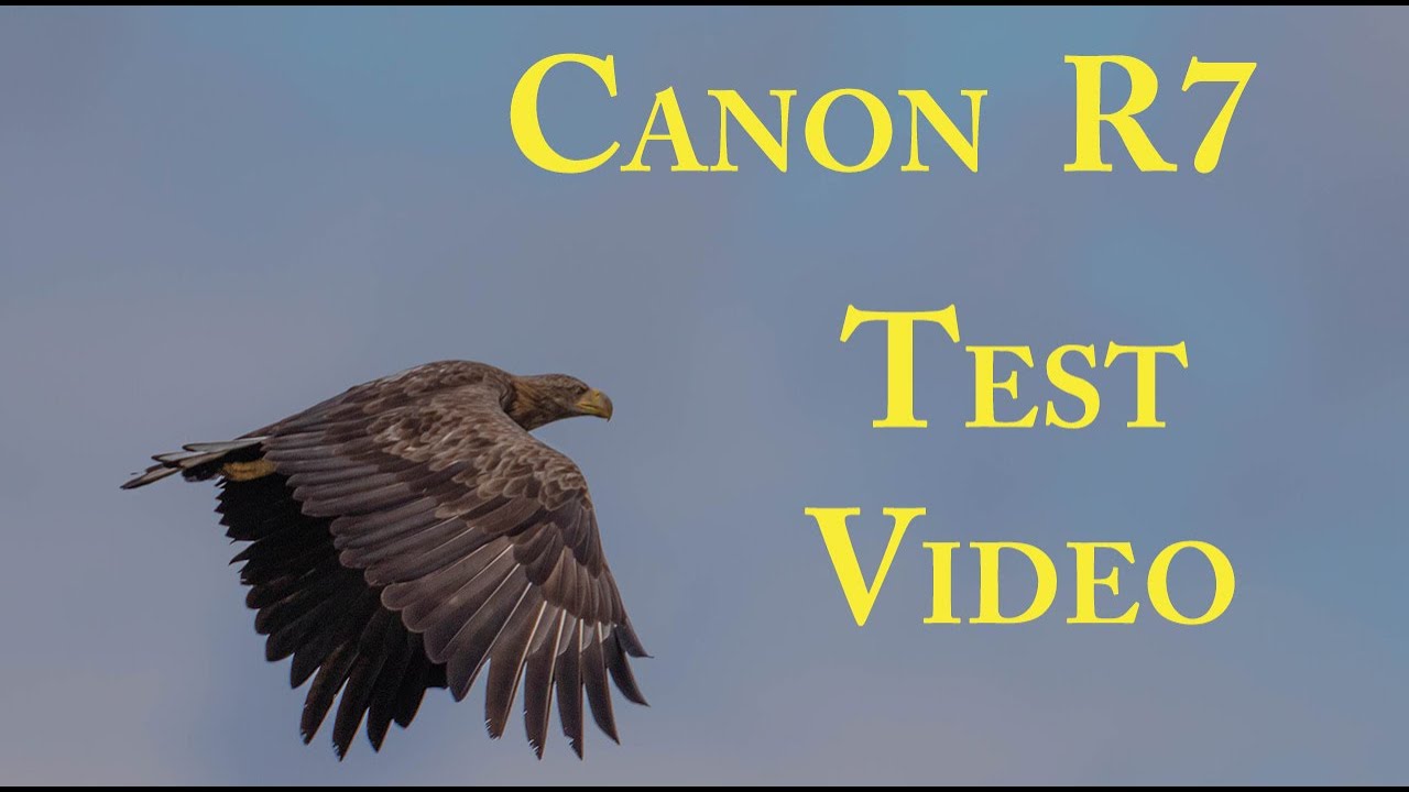 Canon R7 Slow motion Video