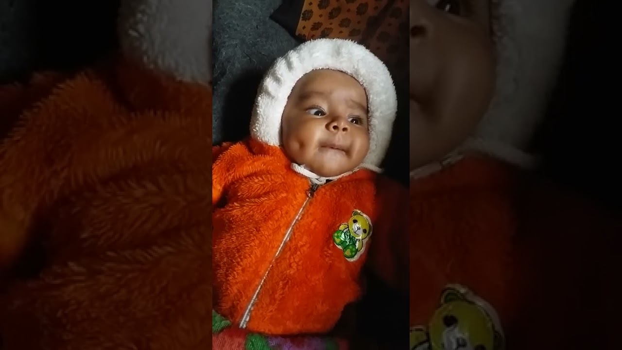 bapugari bomma