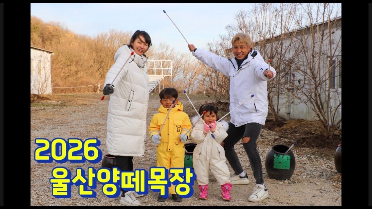 [[가니투어&아빠어디가?✈️리리남매💖👶🏻👧🏻]]2026 새해맞이 울산양떼목장
