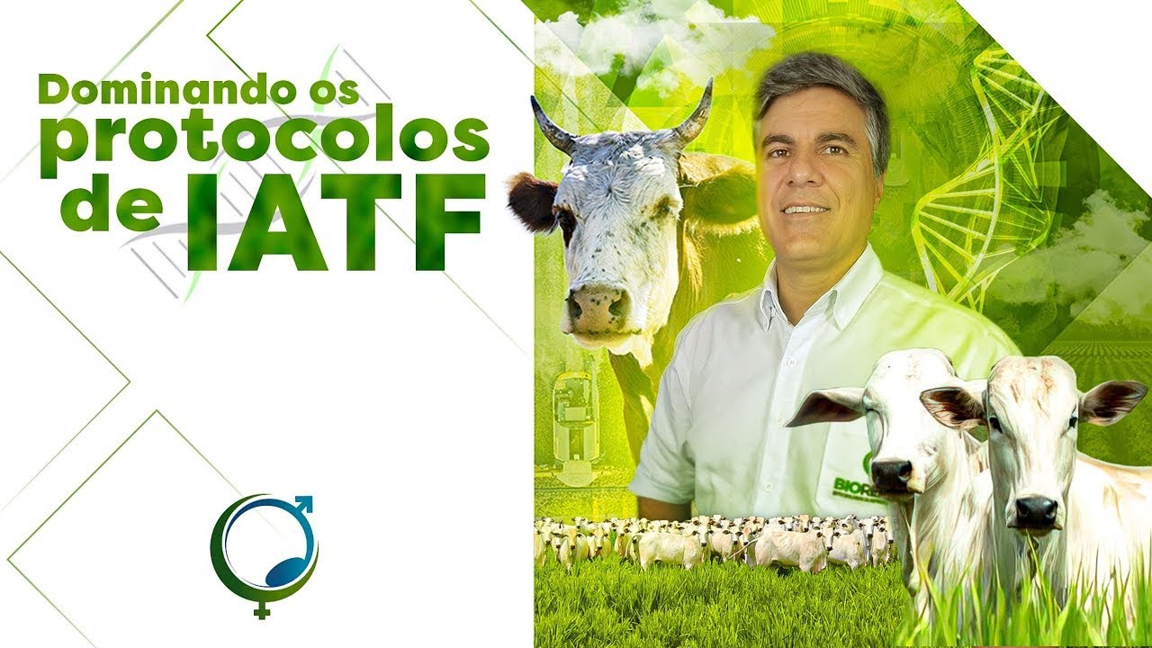 Aula Dominando a IATF