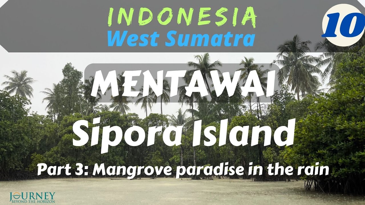 INDONESIA-West Sumatra Part 10: Mentawai-Sipora Island (Mangrove paradise in the rain)