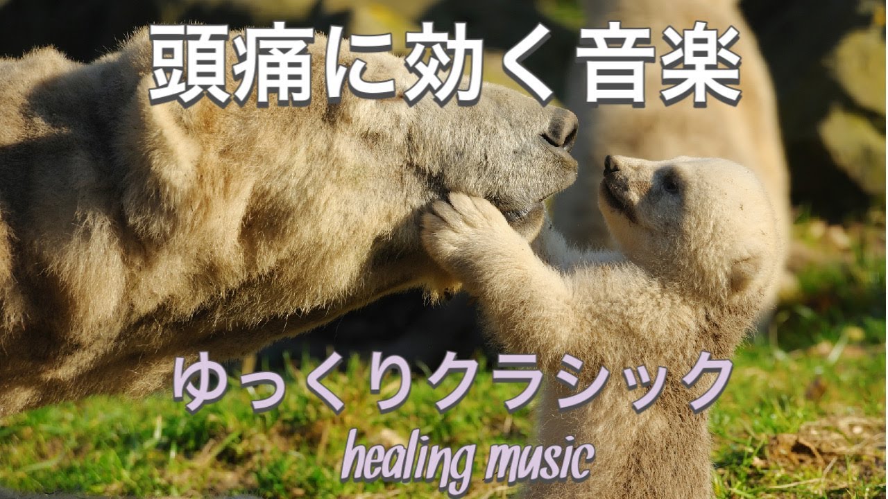 【頭痛に効く音楽】ゆっくりクラシックが、疲れた脳を癒し頭痛を治します