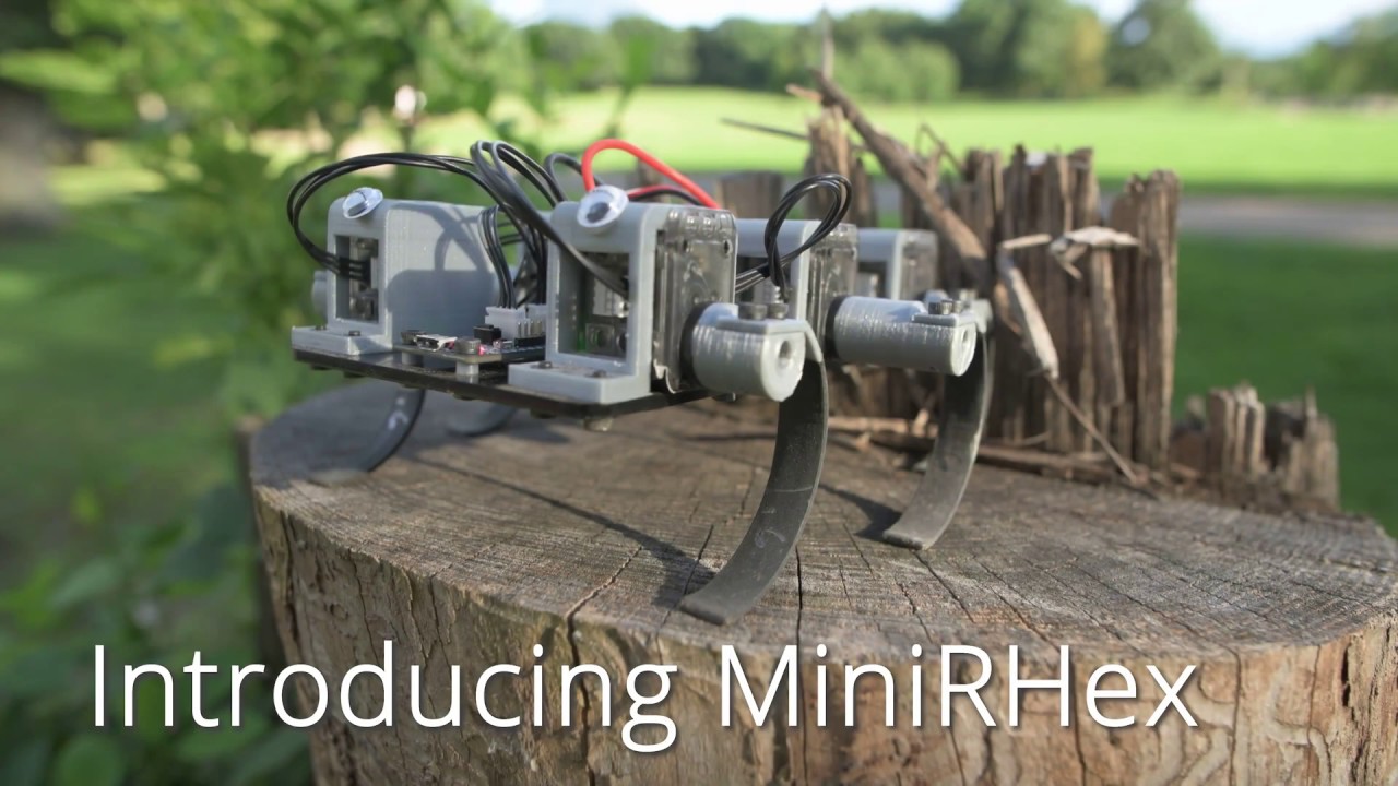 Introducing MiniRHex