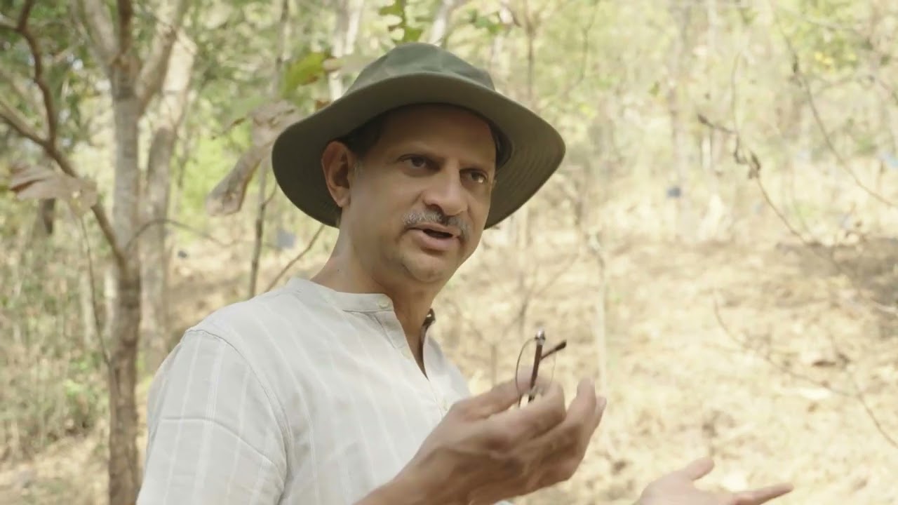 Transforming barren land into a thriving forest : #14Trees way