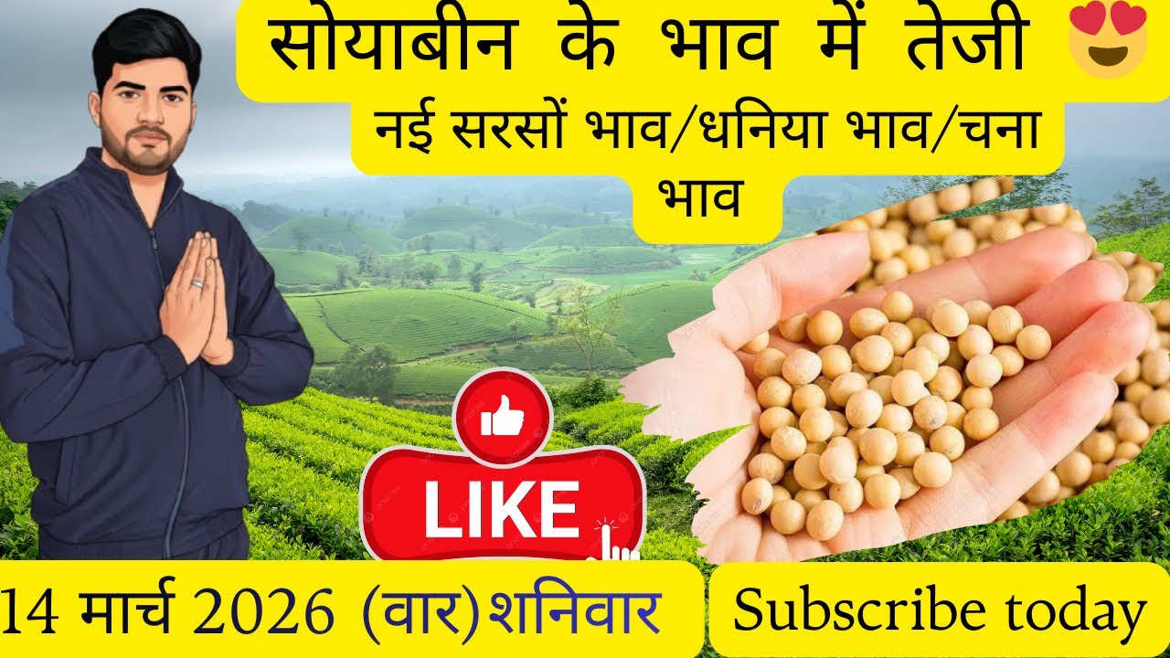 धनिया में शानदार तेजी🔥अलसी मै लगातार सुधार💥सोयाबीन/सरसो के भाव🧐भवानीमंडी दिनांक 14-03-26 #सोयाबीन 