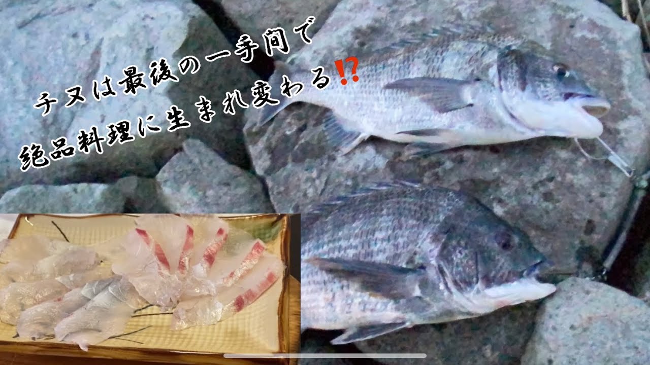 【絶品料理】釣ったチヌを絶品料理に生まれ変わらせる最後の一手間⁉️