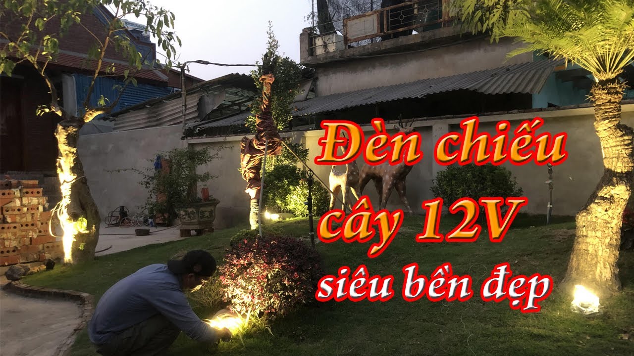 Đèn chiếu cây 12V: Sản phẩm không thể thiếu trong chiếu sáng cảnh quan