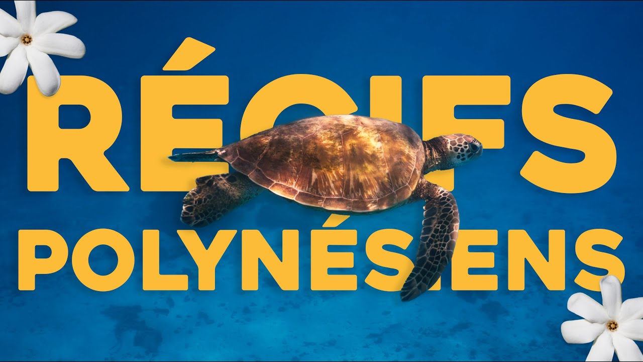 Récifs de coraux polynésiens - Découvrez une profusion de vie marine à l'équilibre fragile