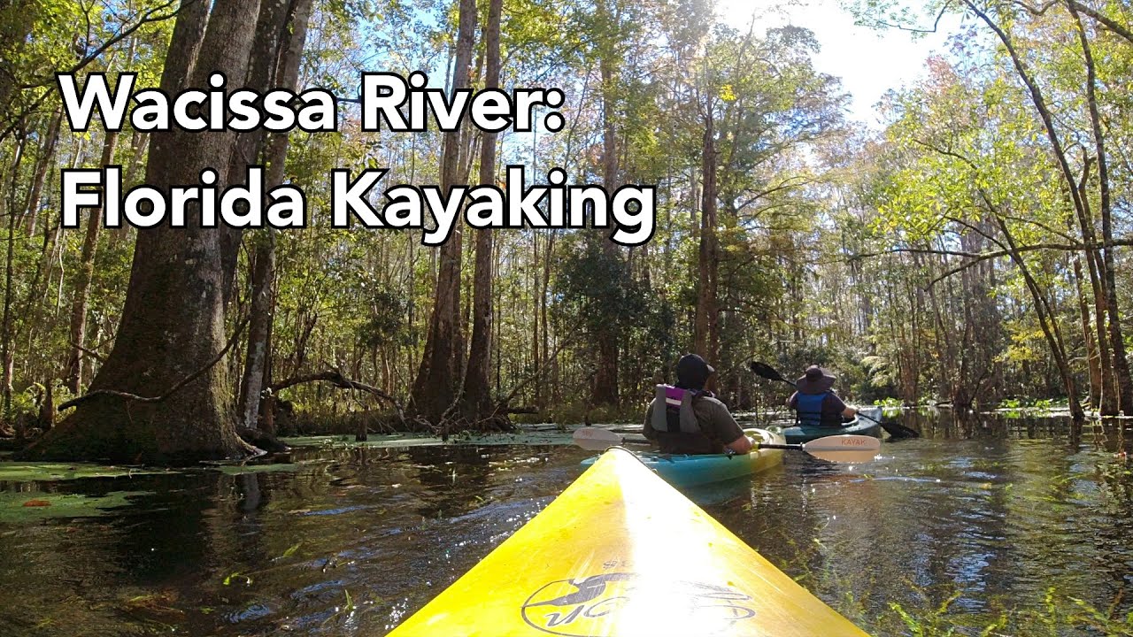 “It’s Like a Disney Ride, But Better” Kayaking Wacissa River with Friends