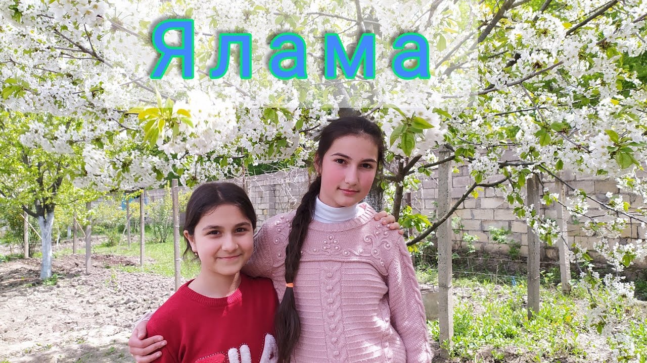 Экскурсия по Яламе 🌲