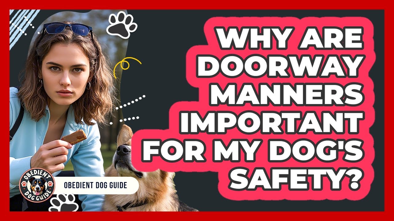 Why Are Doorway Manners Important For My Dog's Safety? - Obedient Dog Guide