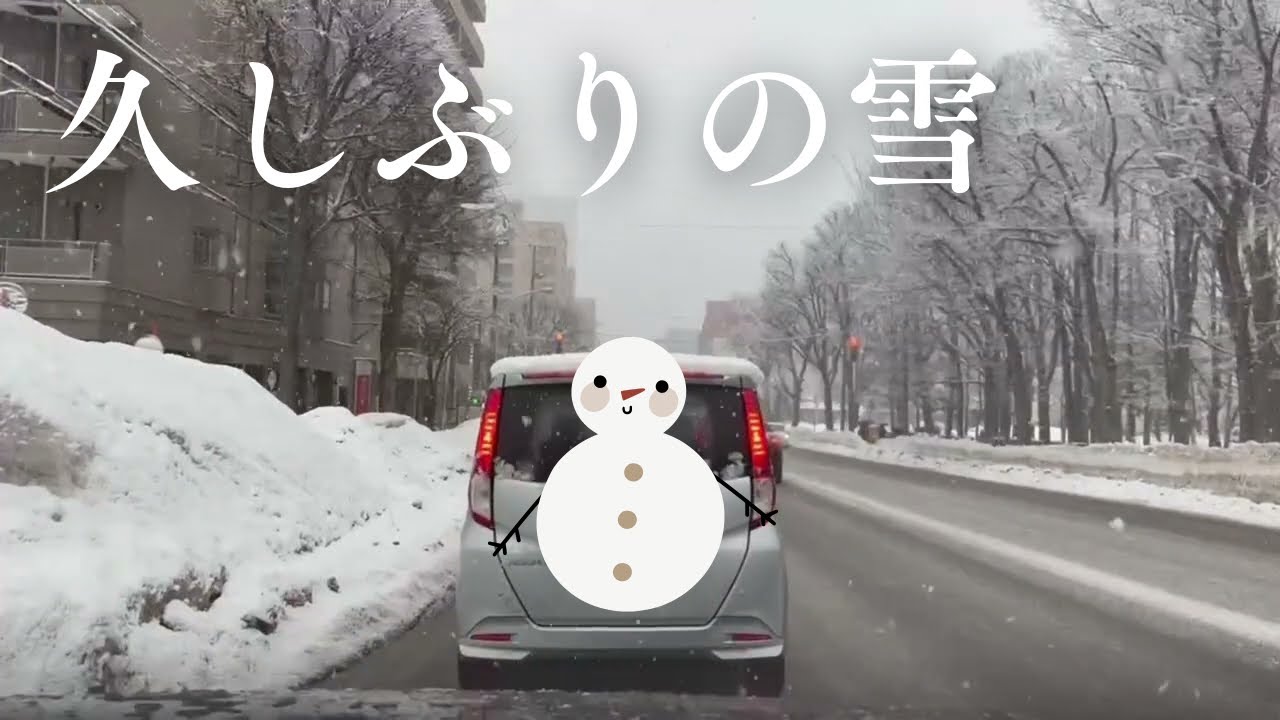 【走行動画】3月4日の札幌北1条通り
