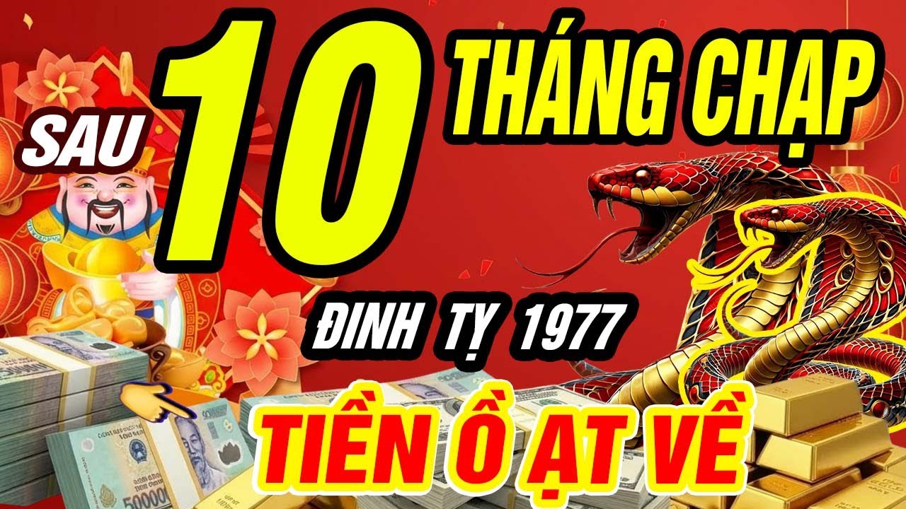 👉 ĐINH TỴ 1977: Sau Ngày 10 Tháng Chạp, TIỀN LỚN BẤT NGỜ ĐỔ VỀ ĂN TẾT CỰC TO