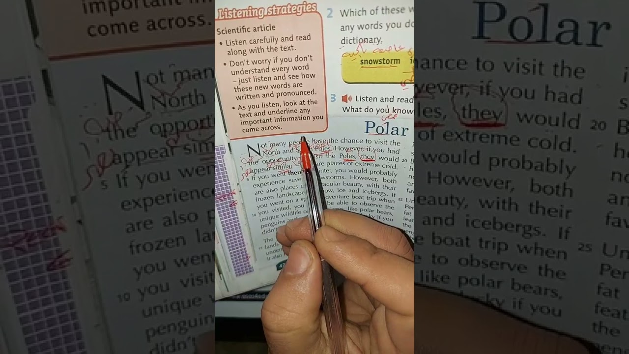 #البث الثاني2️⃣ شرح قاعدةجملة الشرط الثانية/ شرح قطعة Polar bears and penguins/العاشر 🔟🔥🔥