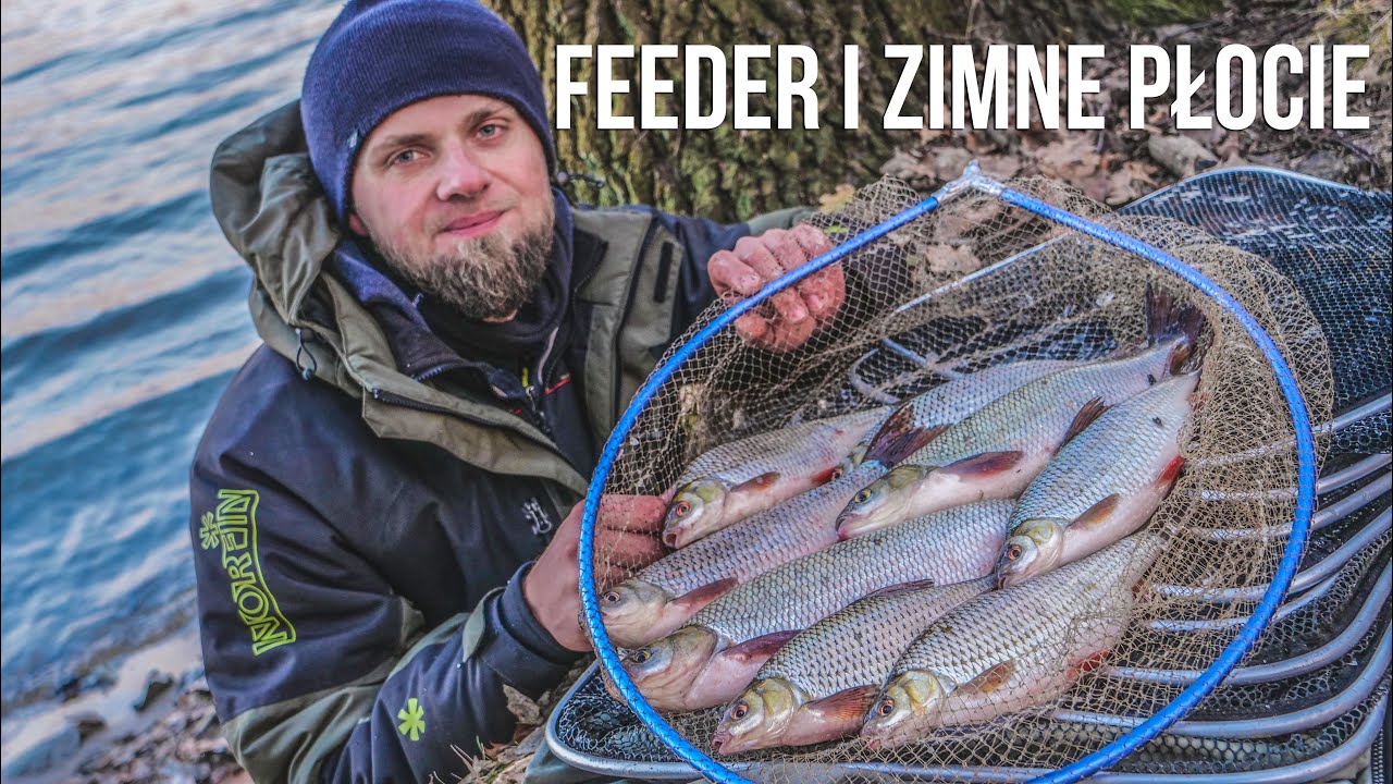 Feeder i zimne płocie