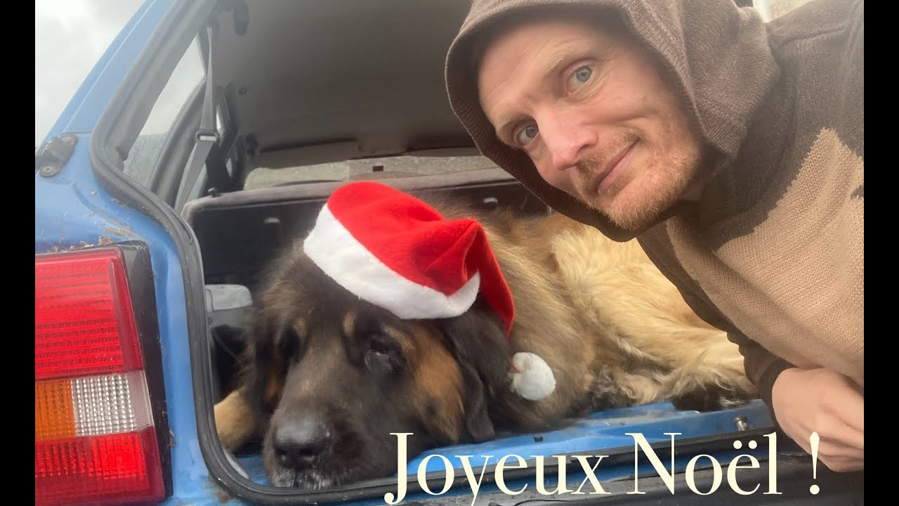 Hors série de Noël !