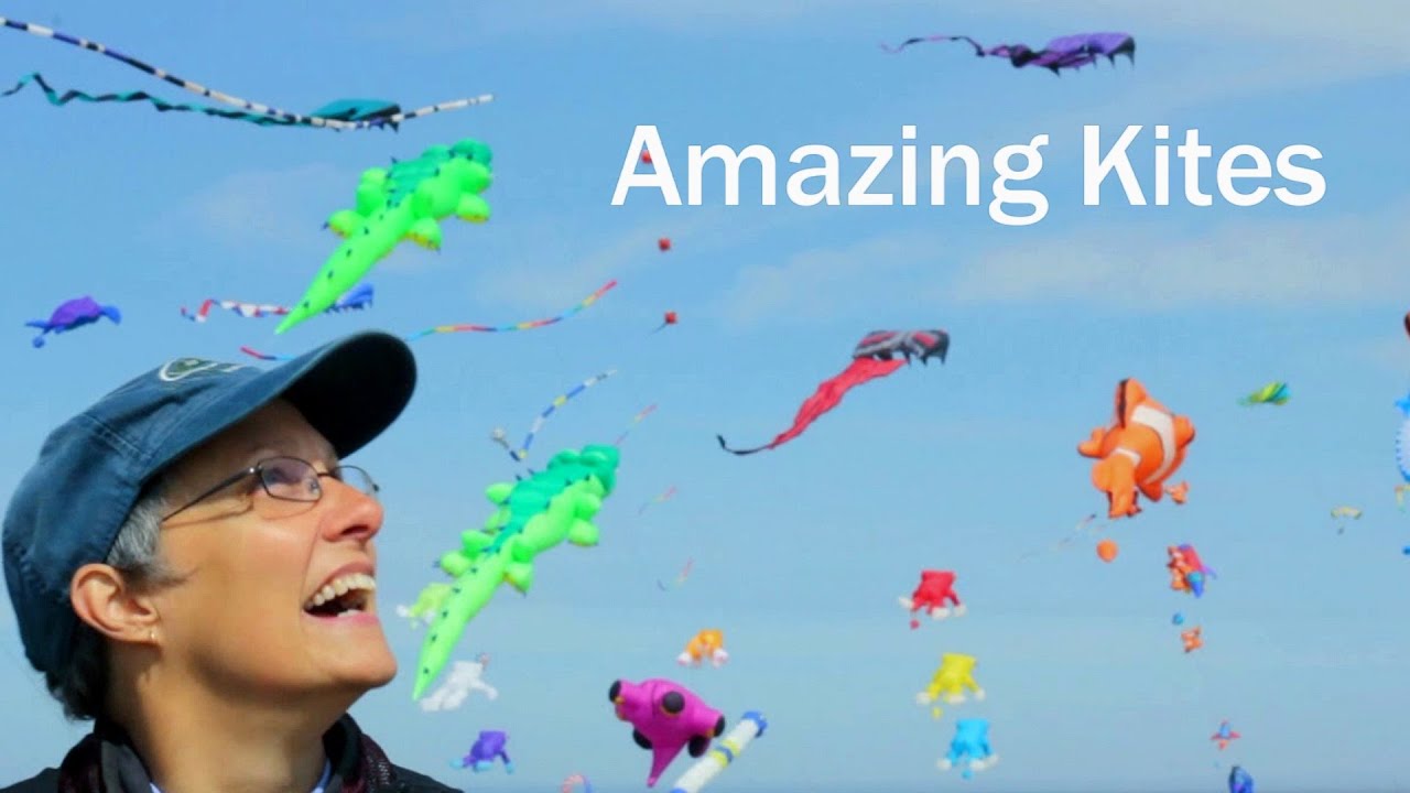 Amazing Kites on the Beach