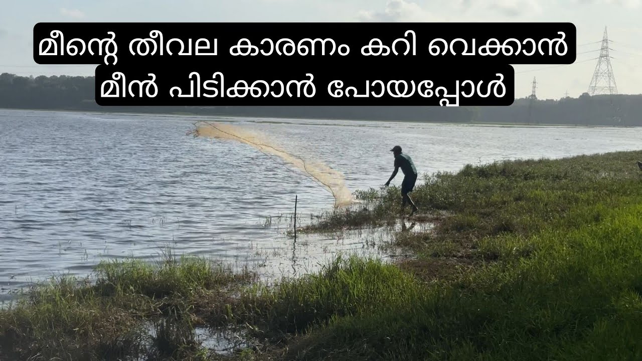 കടൽ മീനിന്റെ തീവില കാരണം കറിവെക്കാൻ മീൻപിടിക്കാൻ പോയ ദിവസം | kerala cast net fishing|fishing techniq