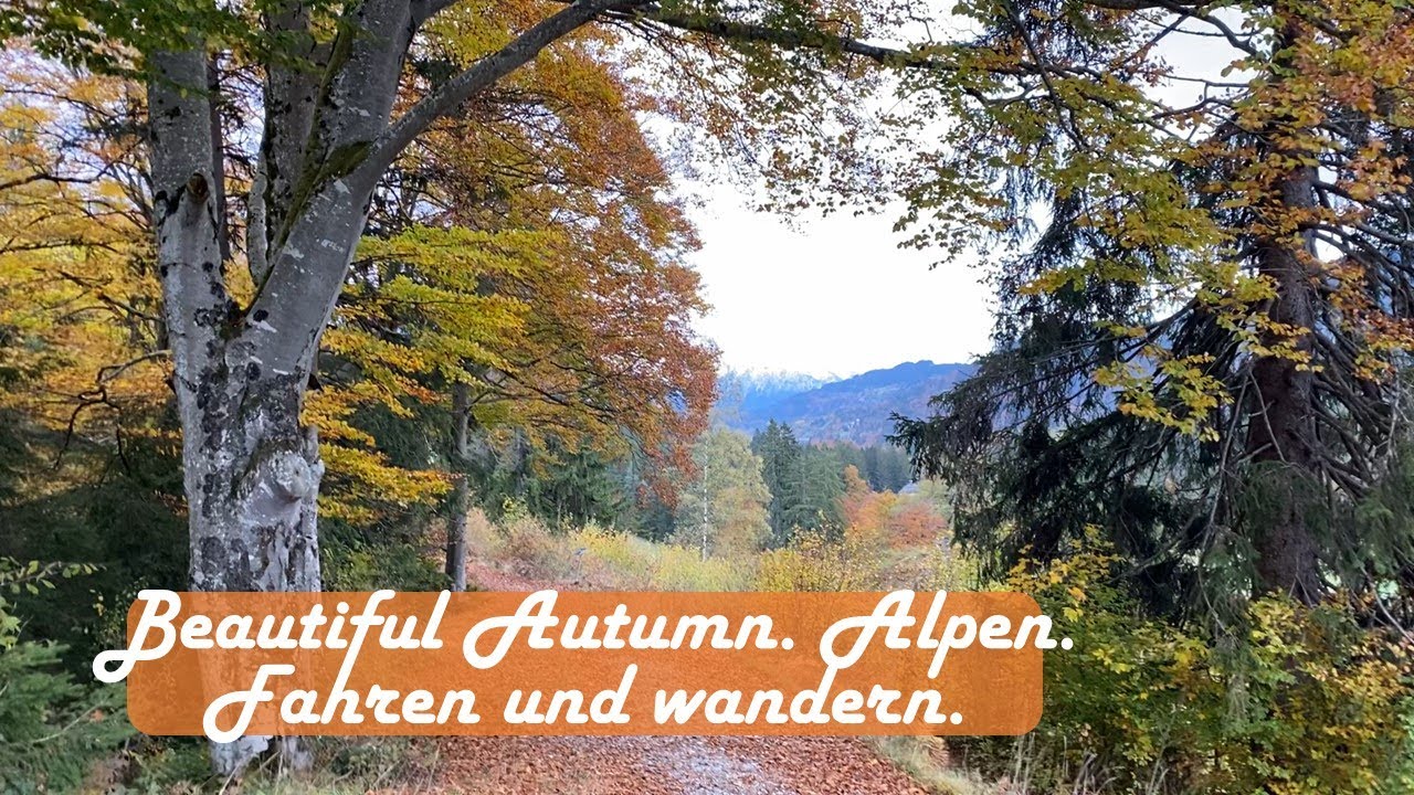 Beatiful Autumn. 🇩🇪  Alps. Piano. 