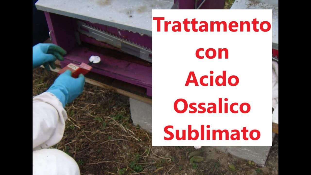 Trattamento Apiario con Acido Ossalico Sublimato