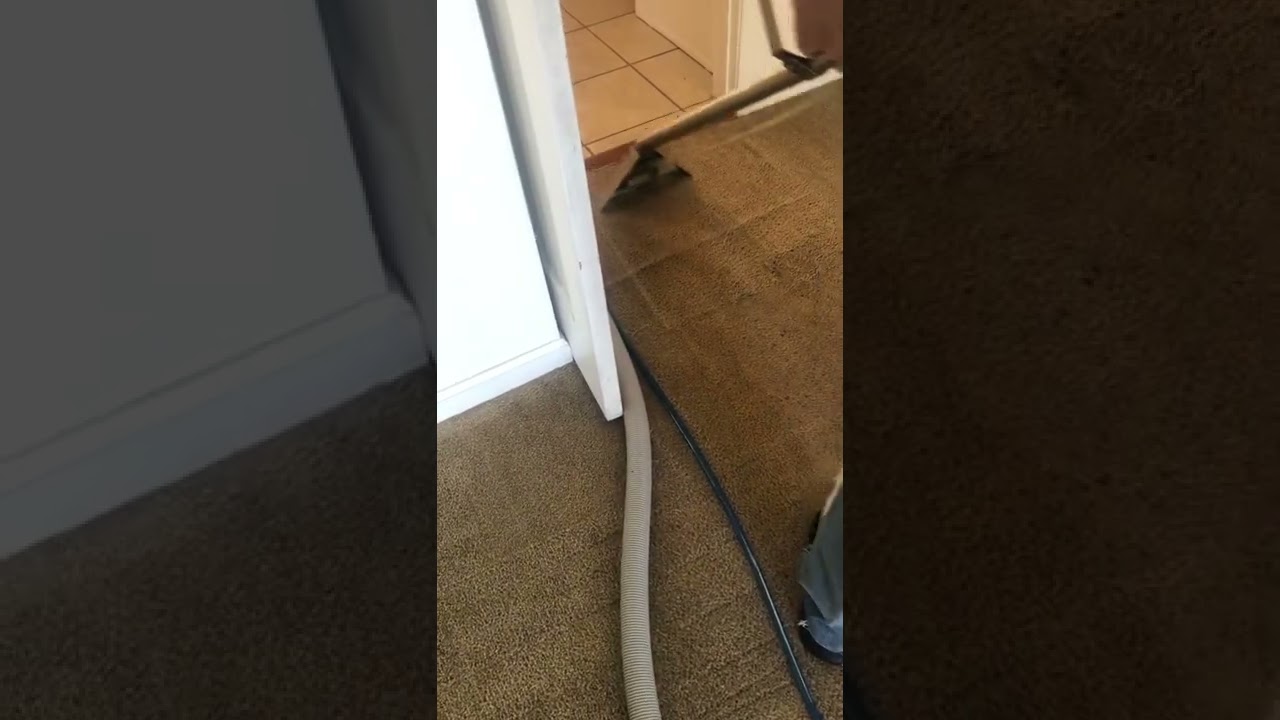 Rotovac monsoon customer cleaning carpet