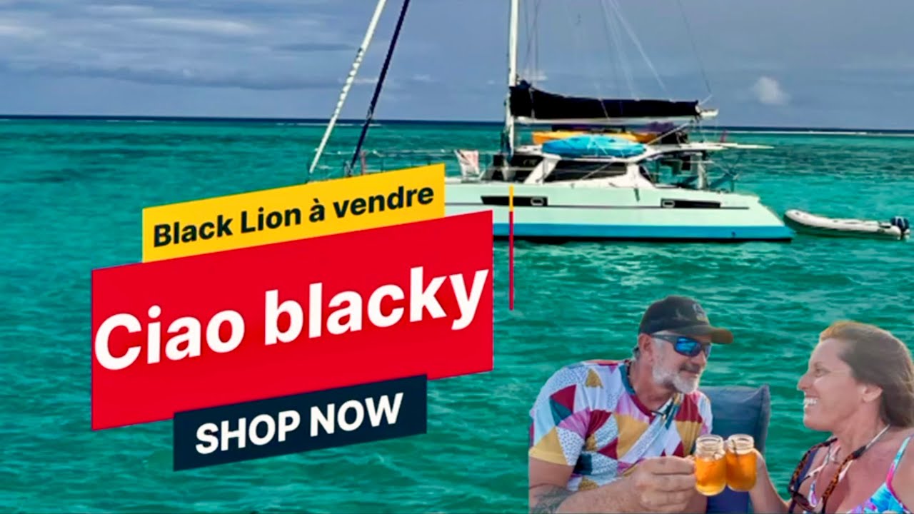 Pourquoi notre catamaran Black Lion est &agrave; vendre ? &Ccedil;&rsquo;est arriv&eacute; un jour 😢et on ne le savait pas.