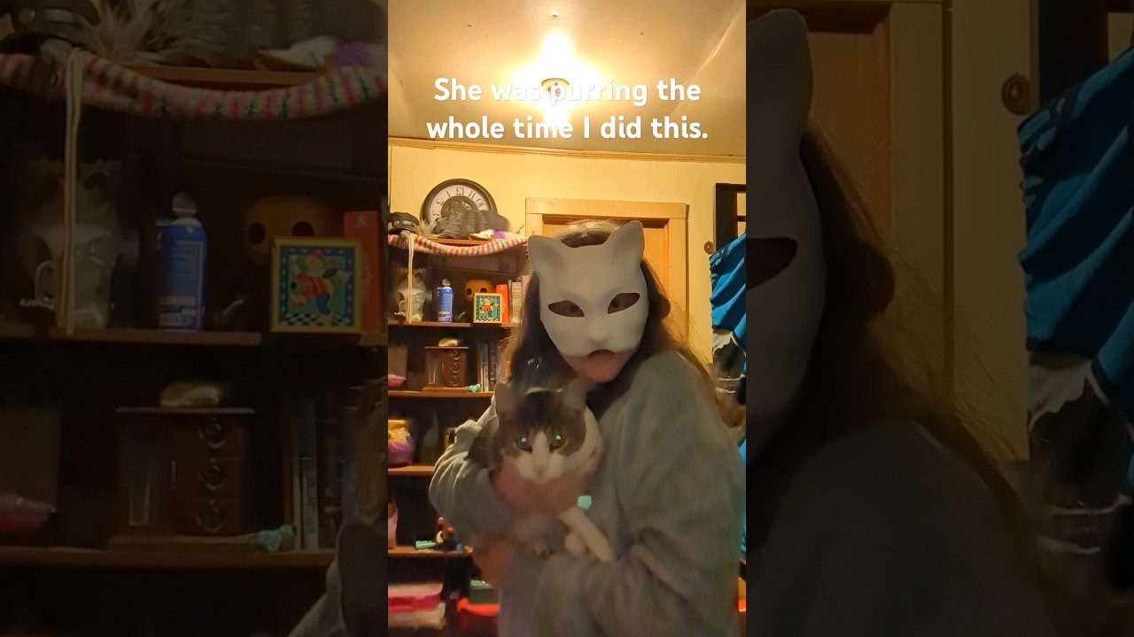 Funny kitty 