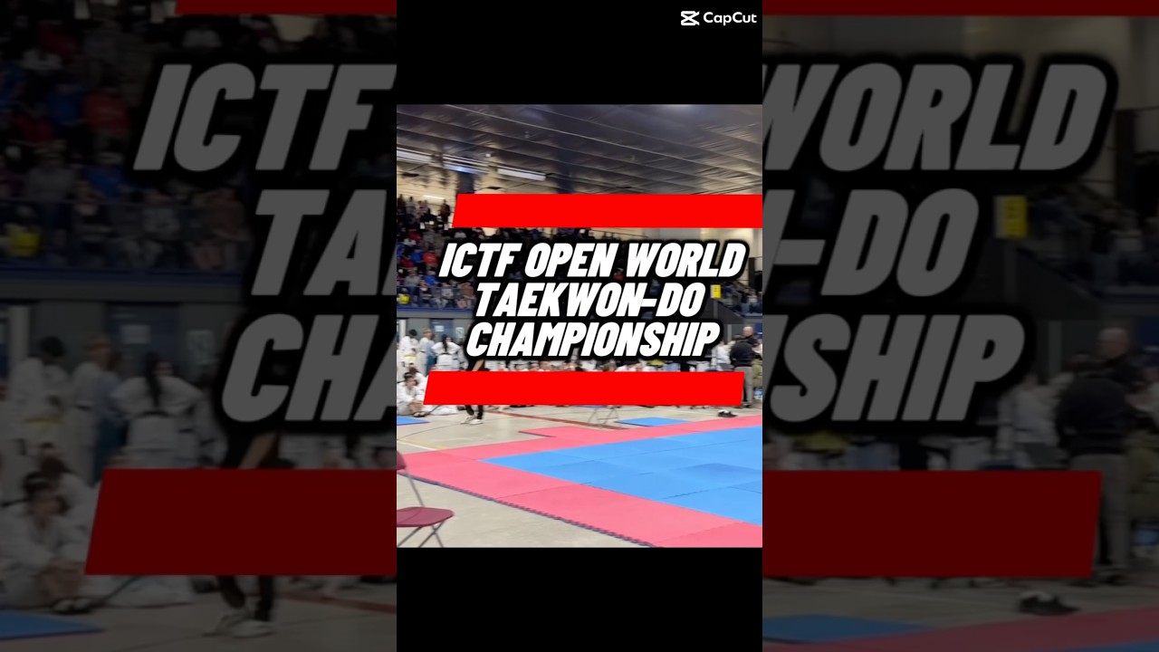 International Chang-Hon Taekwon-Do Federation #ictf #shorts #рекомендации