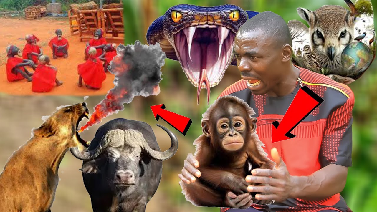 STORY OF A HUNTER. HUNTER TEASED & MOCKED BY DWARFS IN THE MIDDLE OF A FOREST