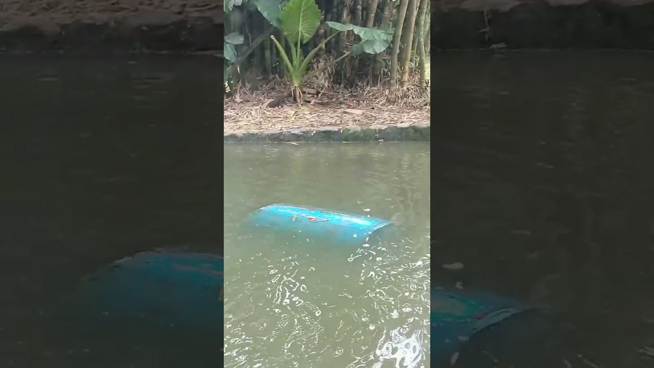 Lokkawi Wildlife Park Kota Kinabalu, Sabah