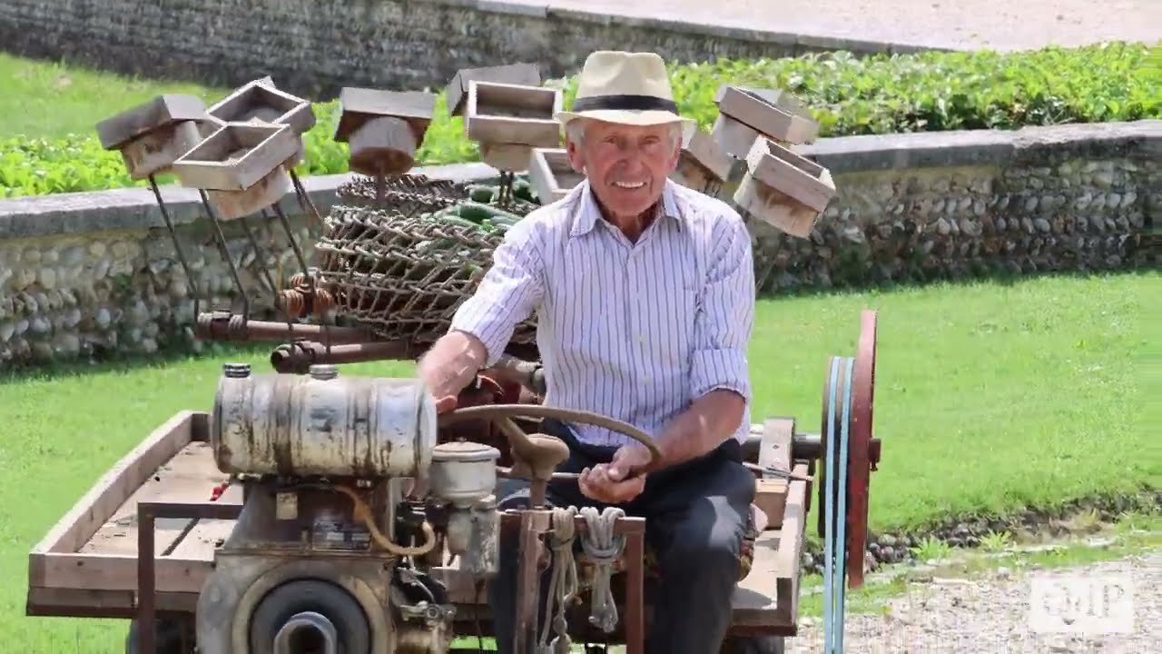 Pregiati frutti rossi: in villa Barbaro trionfa la Mostra della Ciliegia di Maser