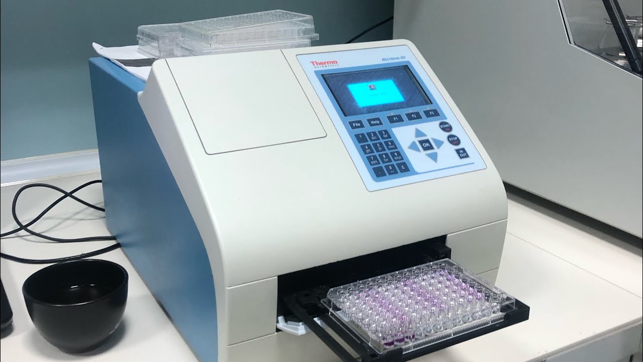 Laboratuvar çalışmalarım, labı birlikte kapatalım. sitotoksik aktivite testi,  moleküler biyoloji