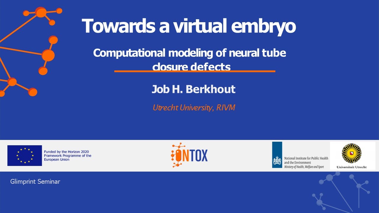 WG/GLIMPRINT Seminars: Berkhout, Predicting Drug Interactions in Neural Tube Closure, Dec. 11, 2025