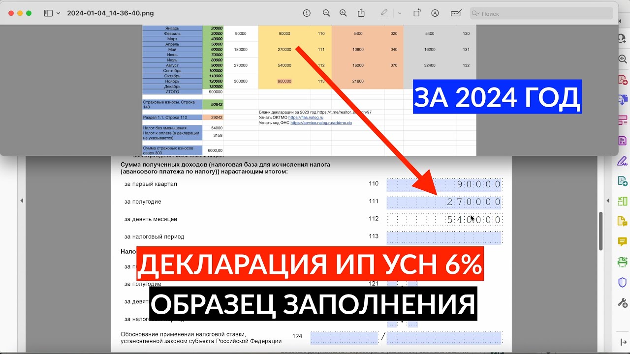 Декларация ИП УСН 6% без сотрудников за 2024 год с учетом страховых взносов ОБРАЗЕЦ ЗАПОЛНЕНИЯ