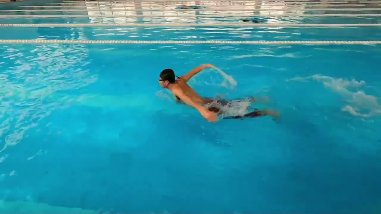 DMT: Bơi bướm đúng kỹ thuật, uốn sóng thân đỉnh cao - Perfect Butterfly Swimming Dolphin Kick